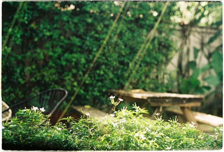 Creating a Relaxing Home Garden Space: Simple Tips for Tranquillity